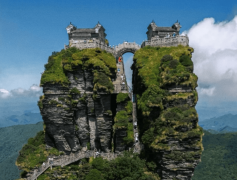 任何购物环节、无现性消费、无强制公费